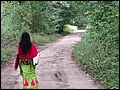 voov2006
